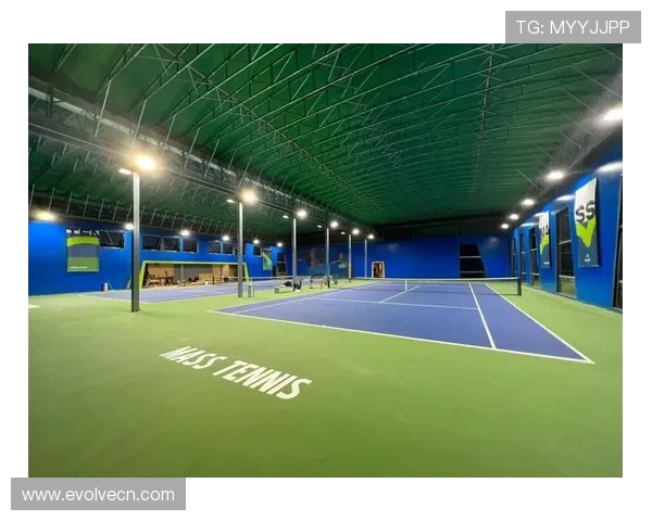 从球场激情到心理博弈全面解析网球运动的技战术与精神魅力