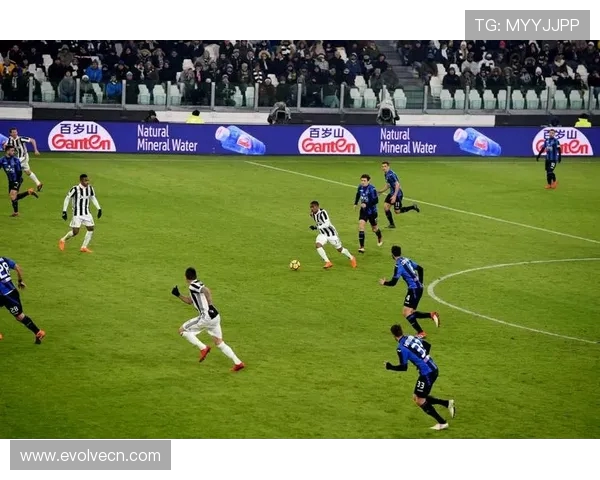 网球运动发展趋势分析与未来前景展望：技术创新与全球化进程的双重推动