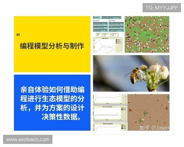 上海排球队中路突破战术解析与实践探讨