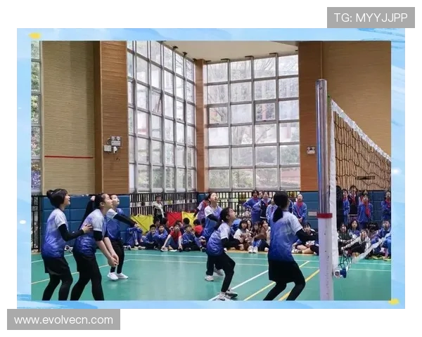 成都排球队在挑战赛中的节奏表现分析与点评展现团队协作与技术水平 成都排球队在挑战赛中的节奏表现分析与点评展现团队协作与技术水平